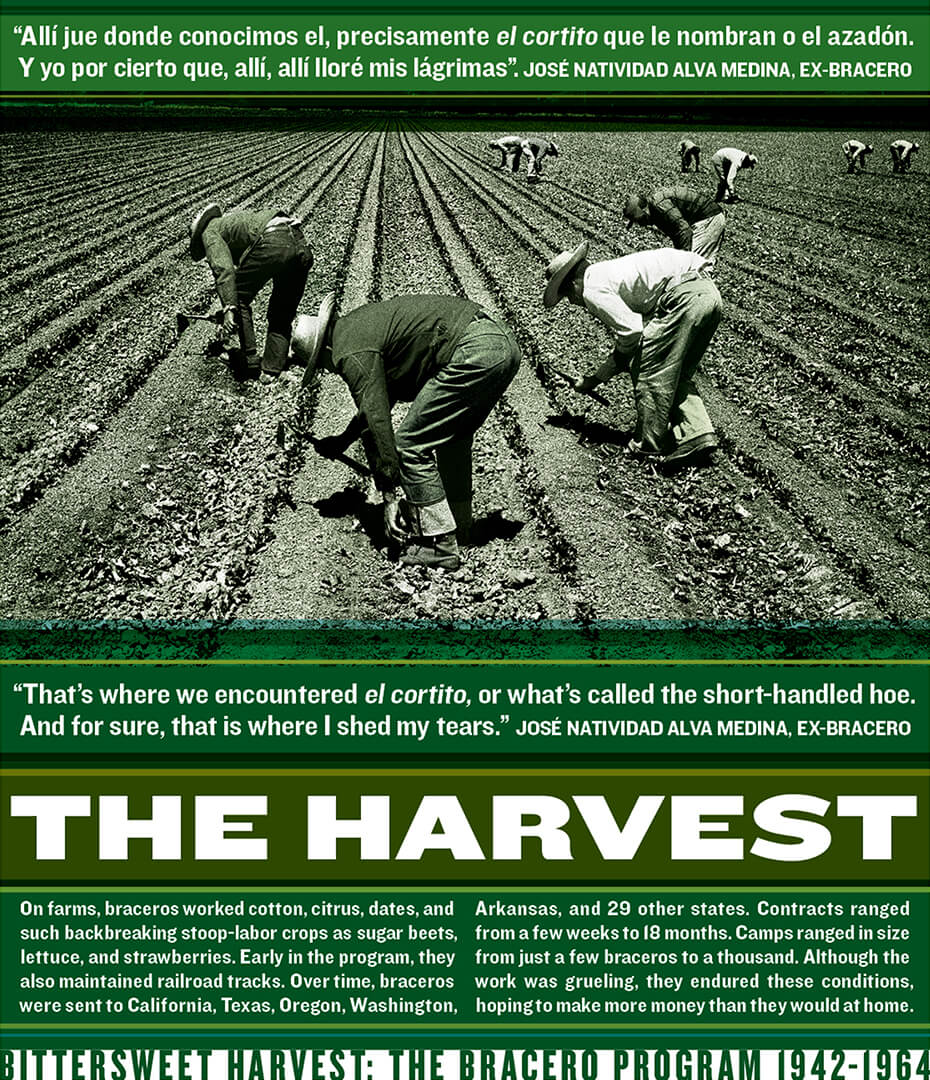 Bittersweet Harvest Miresball Poster Closeup